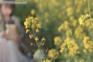 唯美系列-你不可错过！  背景图片