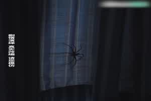 《警花张津瑜》第一集  背景图片