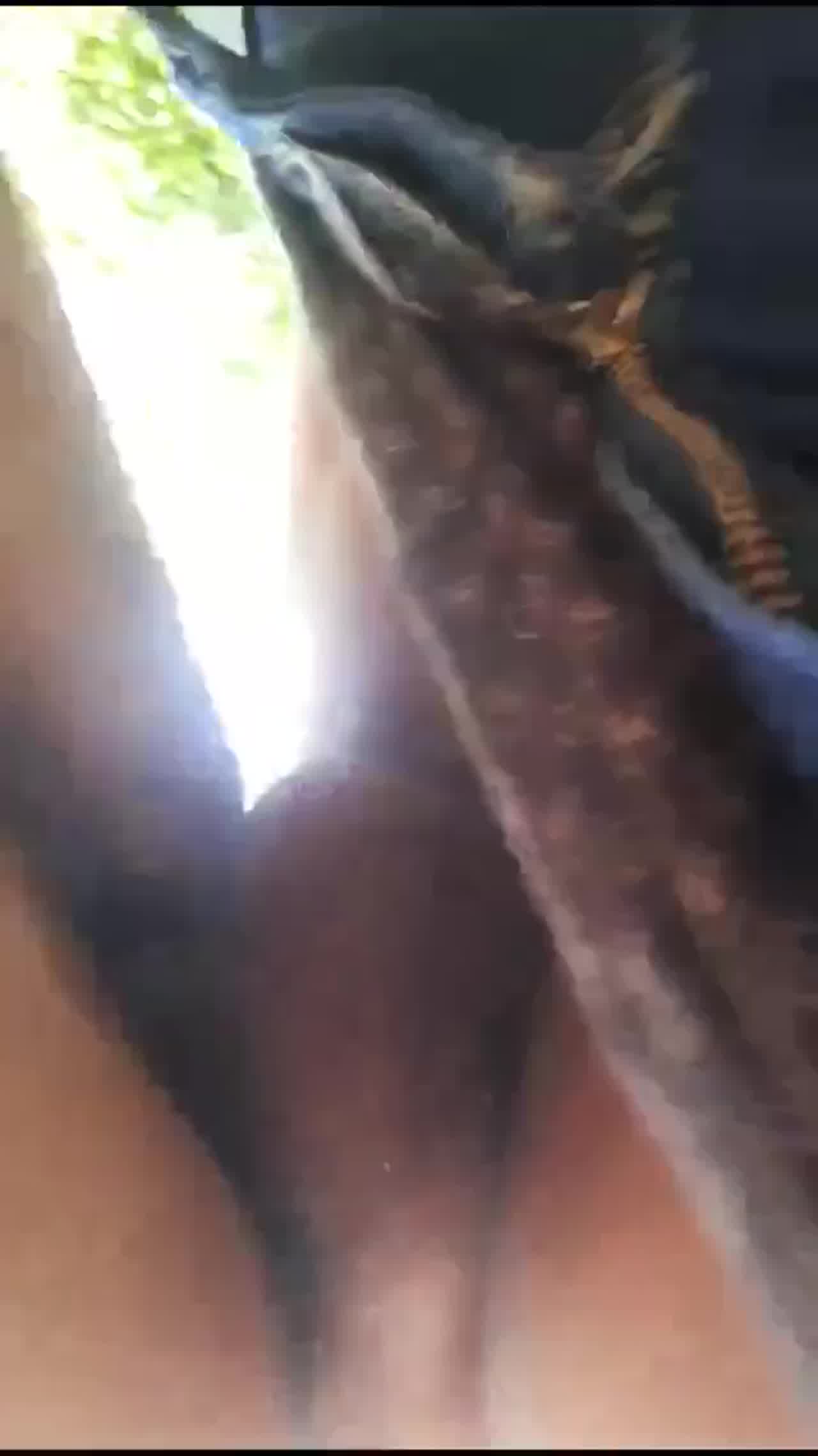  果园内狂草极品骚妇 的剧照6