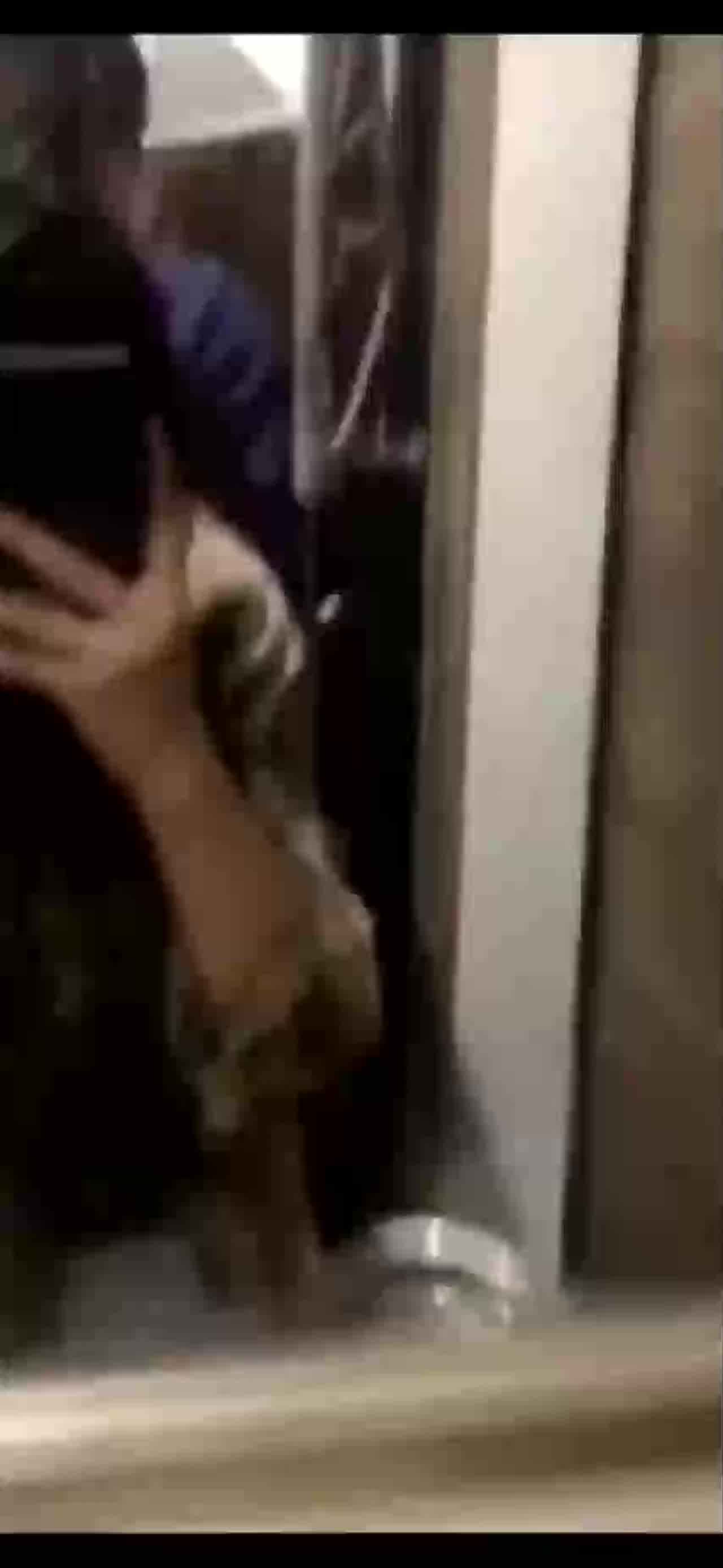  和男友厕所做爱自拍 的剧照3