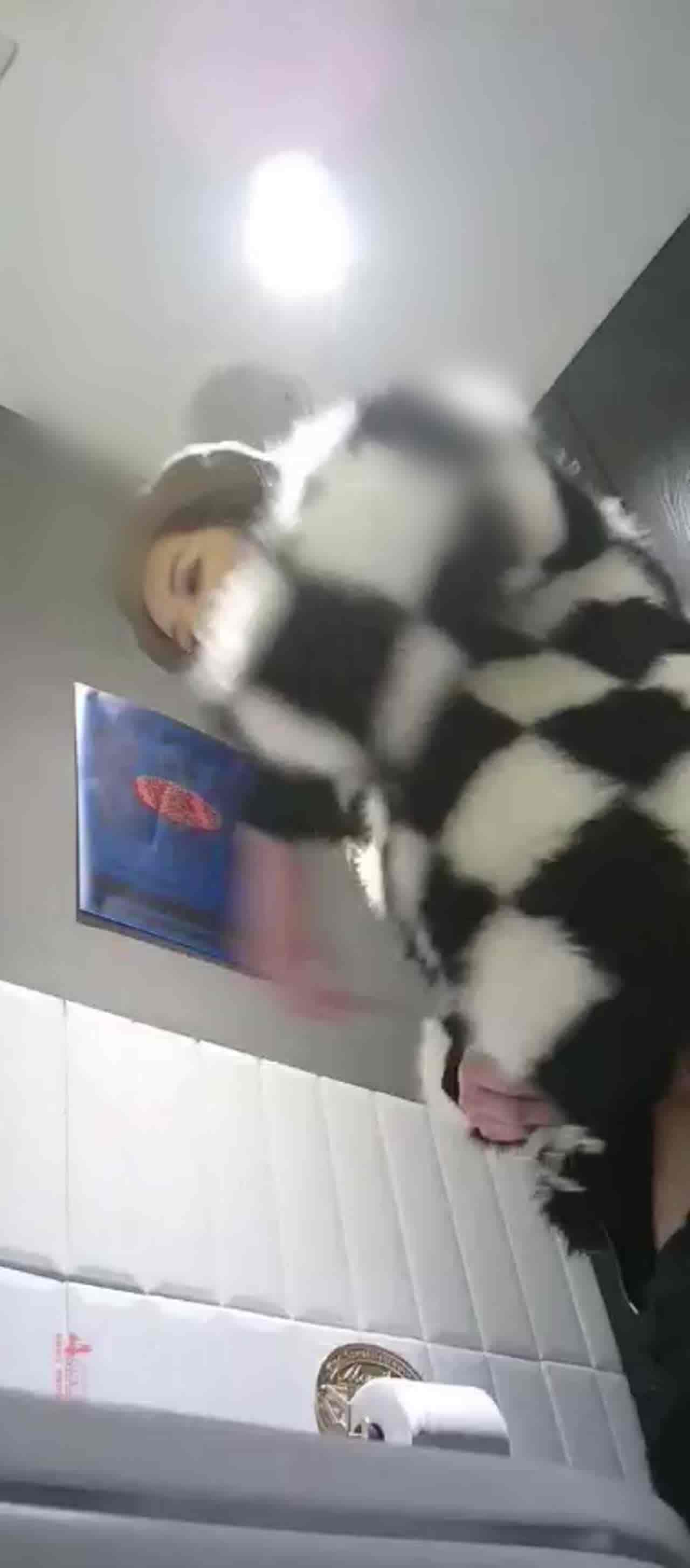  高颜质美女上厕所被针孔偷拍 的剧照7