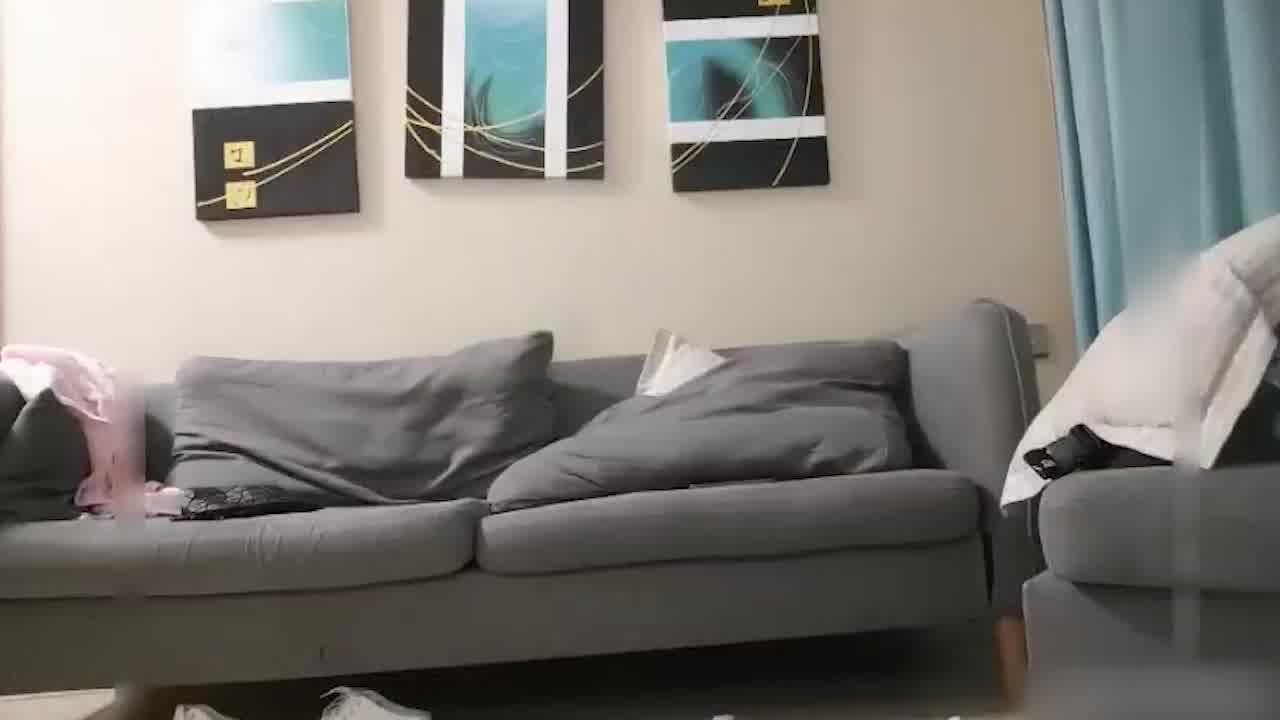  肥哥探花黑骚屄01 的剧照7