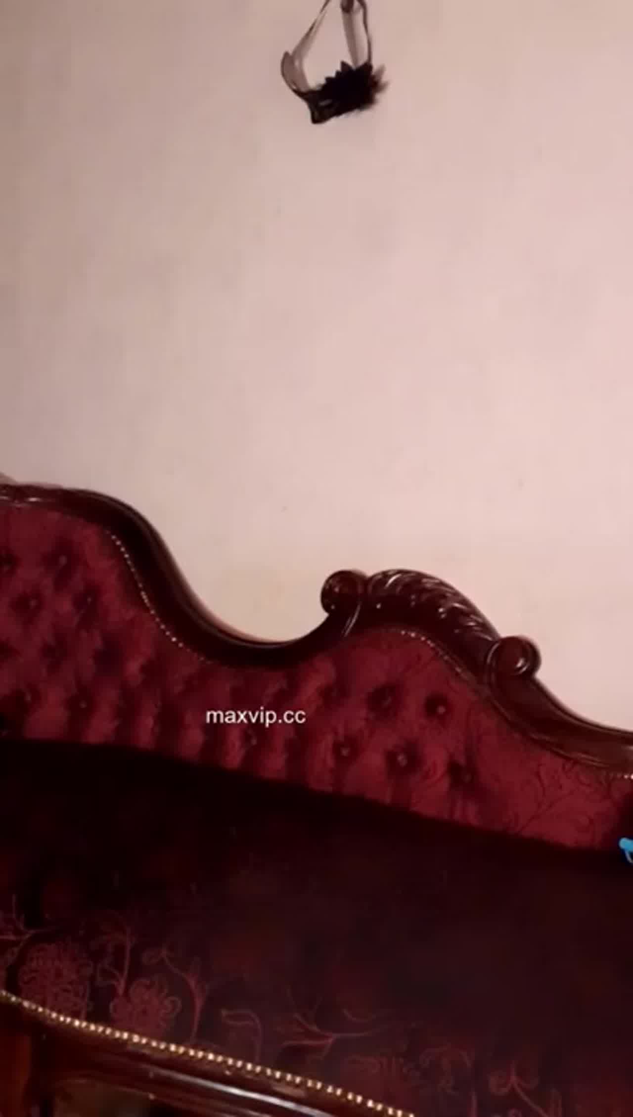  好久没开车都要生疏了～快来看这样开车的姿势是对的吗？ 的剧照7