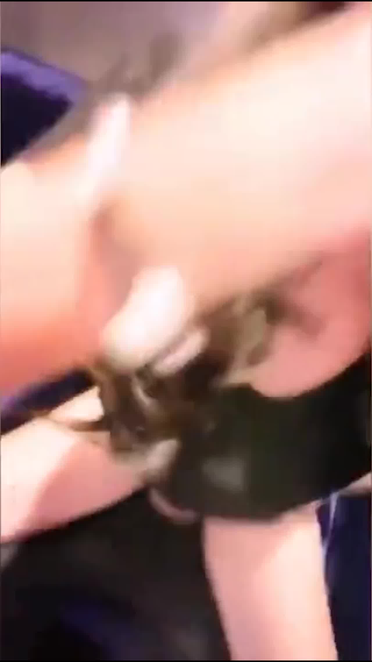  疯狂KTV夜店女孩午夜狂欢 的剧照5