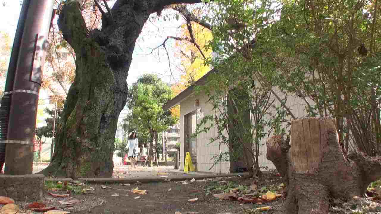  美女忍住不叫的秘密 不管换哪份工作 就是会被客人同事非礼 的剧照7